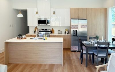 Discover our collaboration with Studio58